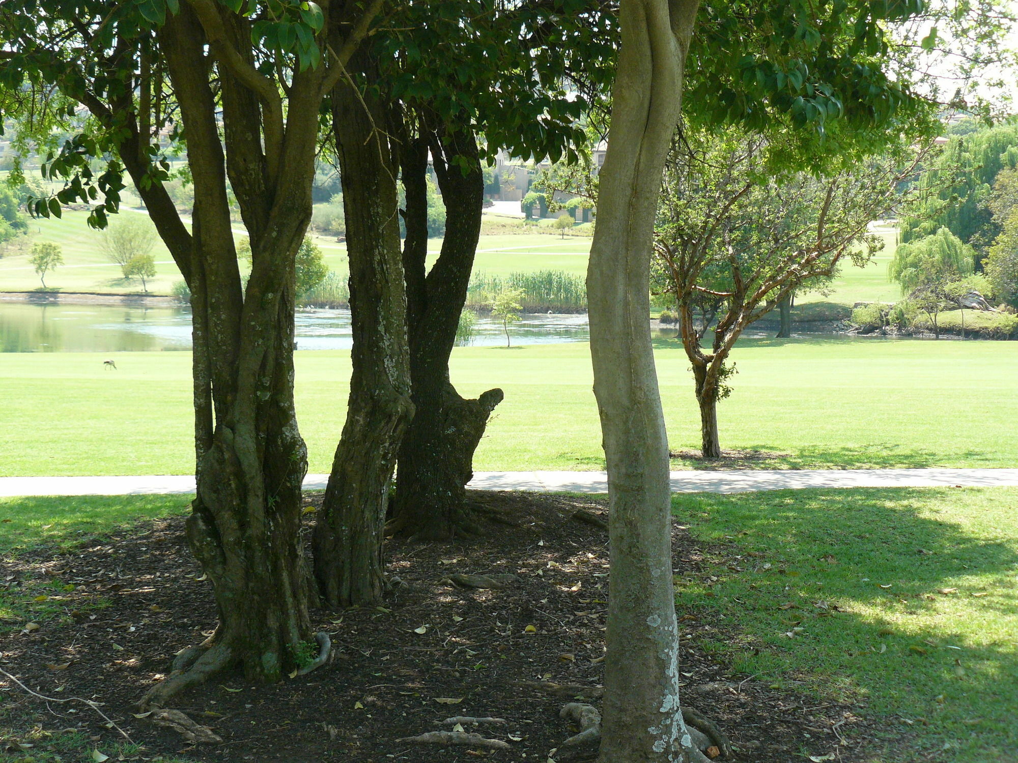 The Woodpecker Inn Pretoria Bagian luar foto